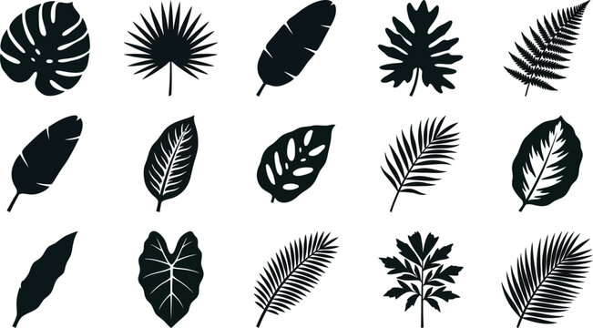 Collection of black tropical leaf silhouettes on white background, diverse shapes tropical leaves black and white