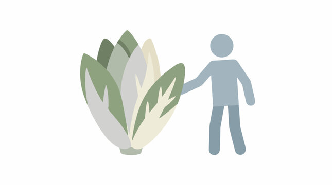 Person standing next to large endive lettuce