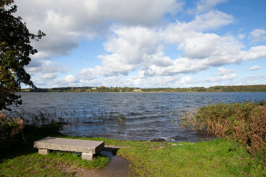 Nature at the lake of Sj&aelig;ls&oslash; in in Denmark in Rudersdal