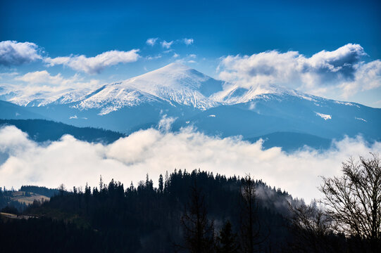 Snow covered Hoverla peak in Carpathian Mountains rising above misty forest and low clouds under clear blue sky. Suitable for travel, wilderness, winter, and destination concepts
