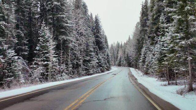 Snowy mountain road winding through forest in Banff National Park highway 1A