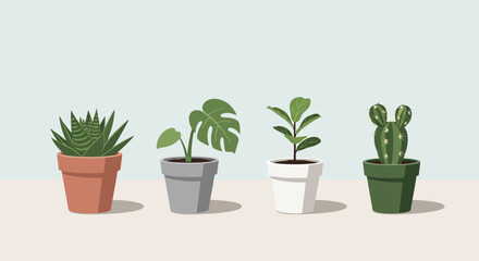 Fototapeta premium Four Potted Houseplants on a Light Blue Background