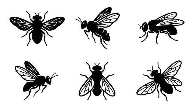 different black fly silhouettes on a clean white background, minimalist vector style.