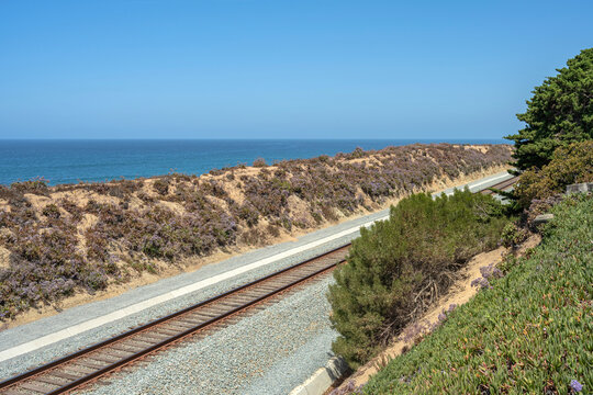 Shoreline and scenery near Carlsbad California.