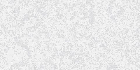 Clean Minimal Topographic Map Relief Background With Dynamic Terrain Outline Artwork Seamless White Wave Paper Texture Featuring Contemporary Geographic Contour Design © ALAMA