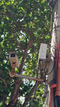 Urban Surveillance Device In Focus. Detailed View Of Streetfacing Security Surveillance Equipment. Highresolution Closeup Of Urban Security Camera Beneath Green Canopy With Rusted Support
