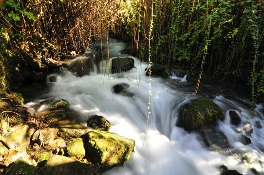 Hermon River, one of three headstreams of the Jordan River, near its source at the Golan Heights, Israel, Middle East, Orient