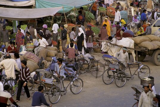 Street scene - Jaipur - Rajasthan - India
