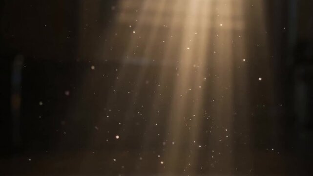 sunlight coming in through a window of a room