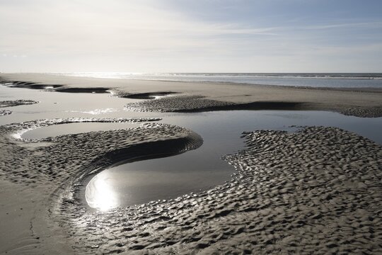 Sandy beach beach at low tide with tide pools, Juist Island, Lower Saxony Wadden Sea, North Sea, East Frisia, Lower Saxony, Germany