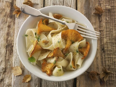 Wild organic chanterelle or girolle Mushrooms (Cantharellus cibarius) sauted in butter on Pappardelle pasta