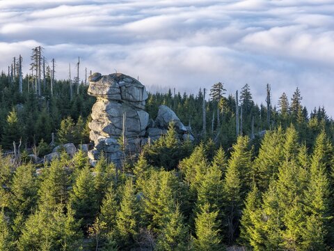 View from the summit of the Dreisesselberg (1333m) over rock tower, forest and sea of fog, inversion weather, fog in the lowlands, Lower Bavaria, Bavarian Forest, Bavaria, Germany