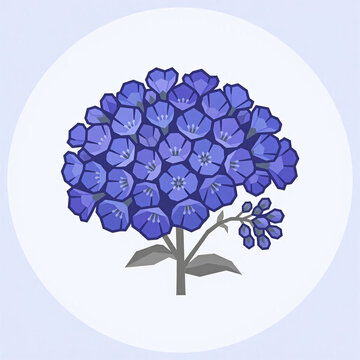 Trachelium Bloom &mdash; Constellation of Silent Thoughts