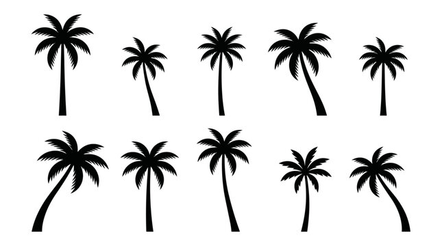 Collection of Silhouetted Palm Trees in Various Poses