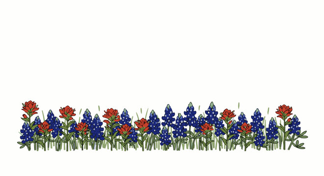 A border of bluebonnets and Indian paintbrush flowers against a white background