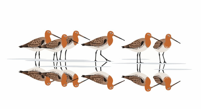 A charming pixel-art illustration of shorebirds with reflections on water