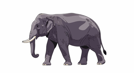 Fototapeta premium A gray elephant with tusks walks to the left on a white background