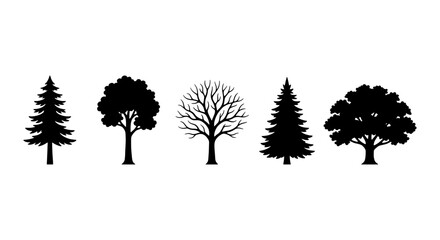 Black tree silhouettes, 5 forest tree icons, pine and oak vector set © Saiful