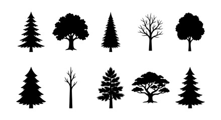 Black tree silhouettes, 10 forest plant icons, pine and oak vector set © Bappi
