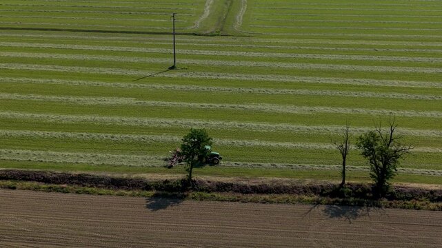 Rural Harvest Horizon: An aerial view captures a vast agricultural field with neatly mown strips of green grass, punctuated by two solitary trees casting long shadows under a bright sky.