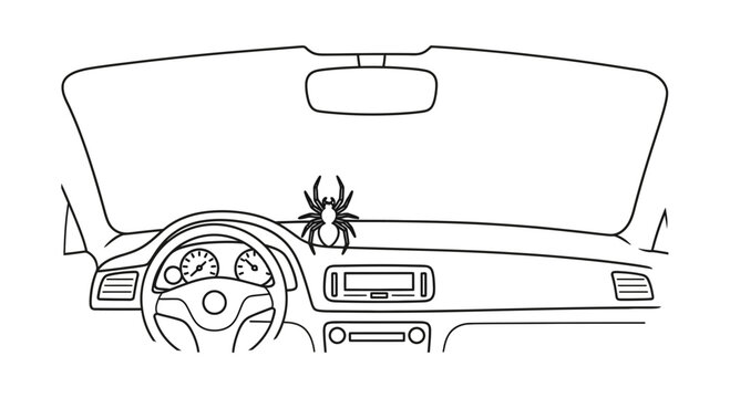 Spider on car dashboard inside a vehicle interior, close-up view.