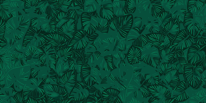seamless dark green tropical foliage pattern with monstera and palm leaves