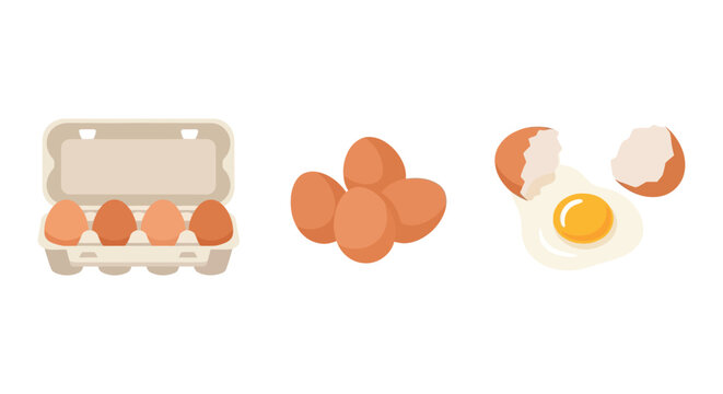 Eggs in carton and broken shells flat vector illustration