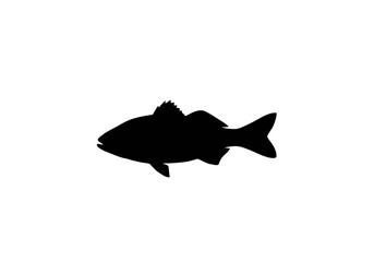 Obraz premium Black Silhouette of a Fish Swimming 1.