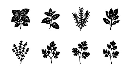 Fototapeta premium Herbs Vector Icons, Culinary Plants Silhouette Collection
