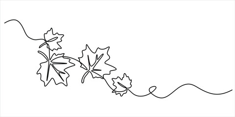 Maple leaves line art vector illustration minimalist continuous drawing nature growth and autumn concept © Dosoroth Chandra