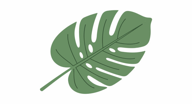 A single, large, green leaf with characteristic splits and holes