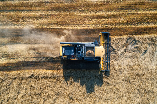 Aerial top down view of combine harvester cutting wheat during the harvest season in a rural farmland field