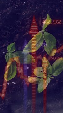 Vertical video: Waveform appearing, pulsing over plants while blue bar rising to show growth data