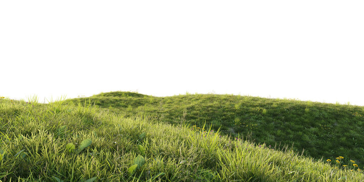 Rolling grassy hill terrain isolated on transparent background for landscape and environment design asset. 3D rendering.