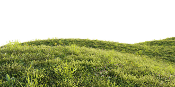 Rolling grassy hill terrain isolated on transparent background for landscape and environment design asset. 3D rendering.