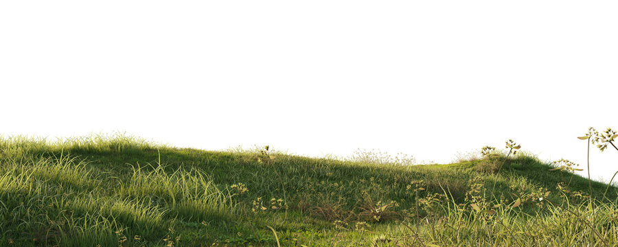 Grassy terrain edge with wild vegetation isolated on transparent background for environment design asset. 3D rendering.