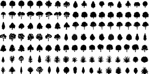 Collection of black tree silhouettes on a white background diverse forest shapes © Bijoy