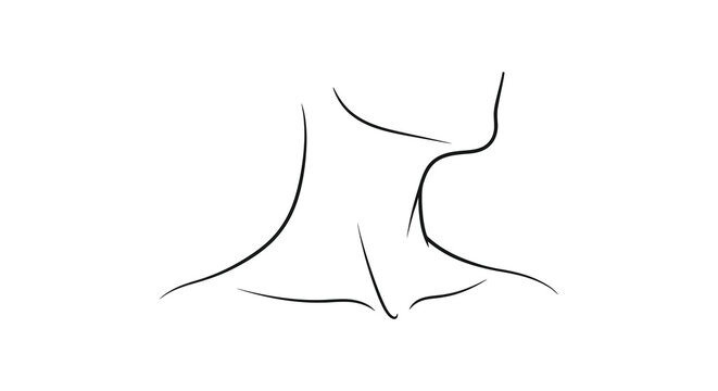 Cat outline drawing minimalist black silhouette high quality