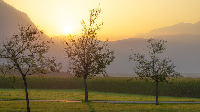 Sunset behind three slender trees in Mieming, Tyrol. Warm tones illuminate fields and distant mountains, creating a peaceful and minimalistic landscape ideal for posters, backgrounds and wall art.