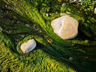 Musgo en el agua del arroyo © Juanmi