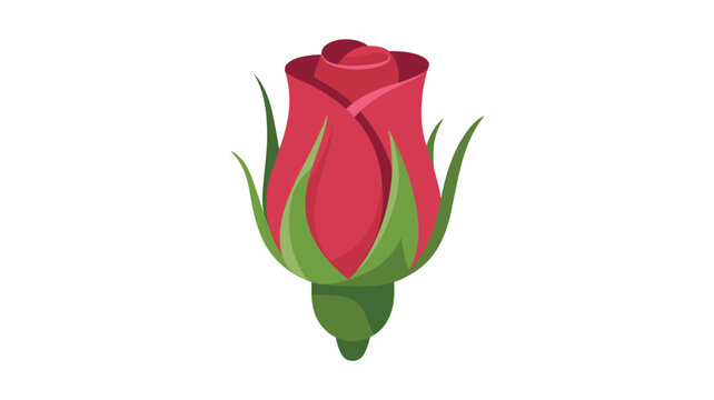 A single unfolding red rose bud featuring tightly packed inner petals and sharp green sepals displayed against a stark plain white studio background surface.