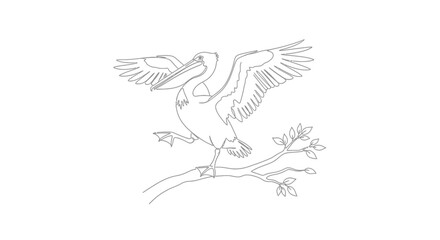 Obraz premium Pelican Perched on Branch with Wings Spread