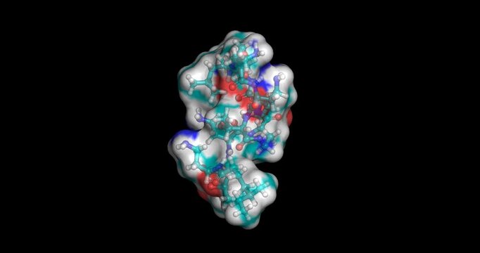 Colistin, last line drugs/polymyxin antibiotic and bacterial membrane disruptor for multi-drug resistant infections, 3D molecule spinning, 4K