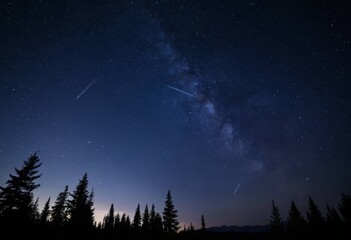 Fototapeta premium Multiple meteors streaking across the starry night sky over conifer forest silhouette