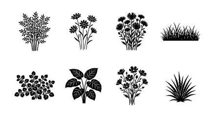Botanical Vector Icons, Floral Elements, Plant Silhouettes, Garden Graphics © Al