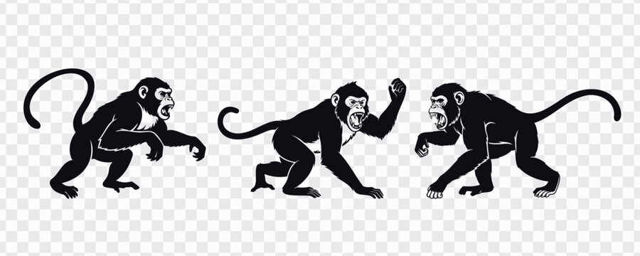 Monkey silhouette vector set featuring three black primate poses with expressive tails and playful movement, ideal for jungle wildlife icons, safari designs, stickers and educational graphics.