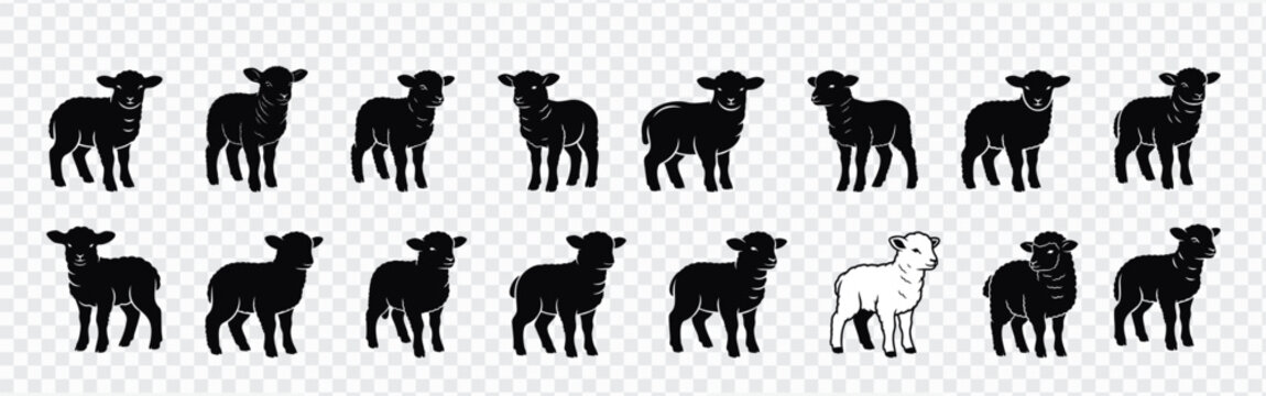 Set of sheep silhouette vector illustrations in multiple standing poses, featuring black farm animal shapes and one outline style, ideal for livestock icons, farming designs, labels and patterns.
