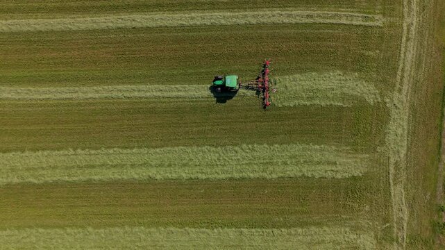 Farm Work Aerial View: An agricultural tractor cultivates a vast field, meticulously raking cut grass into neat rows, showcasing the essence of rural productivity from a bird's-eye perspective.