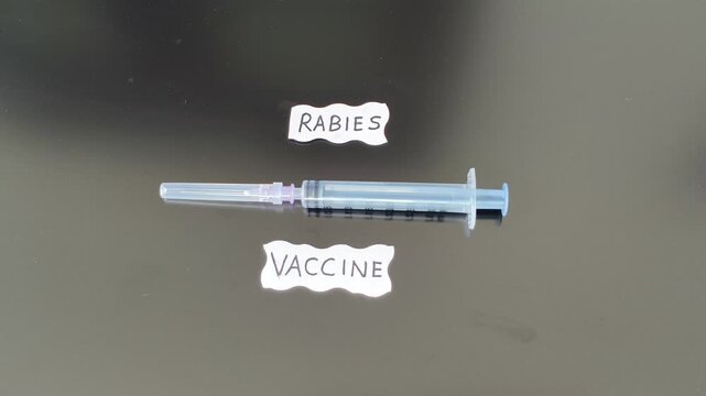 Rabies Immunoglobulin (RIG) deadly viral disease prevention and protection vaccination or injection concept. Closeup of doctor or nurse hand placing syringe near rabies vaccine word or text.
