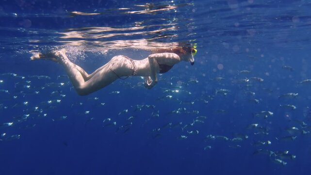 Woman snorkeling underwater swimming with school of fish